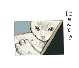 LIVING WITH ANIMALS sticker #8088560