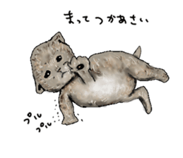 LIVING WITH ANIMALS sticker #8088566