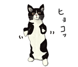 LIVING WITH ANIMALS sticker #8088575