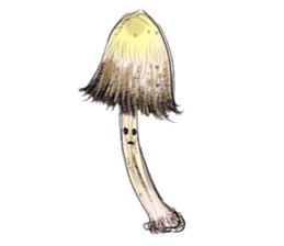 fungi mushrooms sticker #8089678