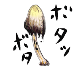 fungi mushrooms sticker #8089679