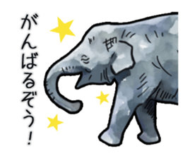 Watercolor elephant sticker sticker #8090718