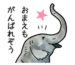 Watercolor elephant sticker sticker #8090719