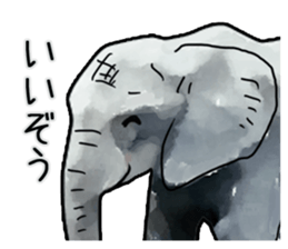 Watercolor elephant sticker sticker #8090722