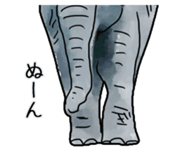 Watercolor elephant sticker sticker #8090729