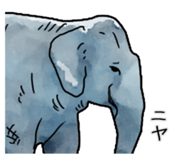 Watercolor elephant sticker sticker #8090732