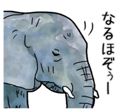 Watercolor elephant sticker sticker #8090734