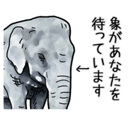 Watercolor elephant sticker sticker #8090749