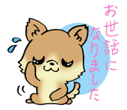 Brown-colored puppy! sticker #8091125