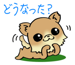 Brown-colored puppy! sticker #8091126