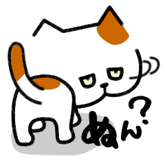 Grumpy cat & Beautiful cat