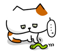 Grumpy cat & Beautiful cat sticker #8093049