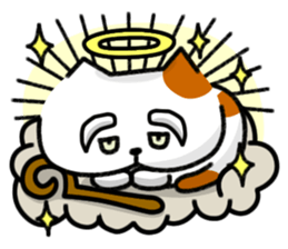 Grumpy cat & Beautiful cat sticker #8093051