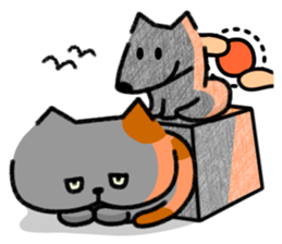 Grumpy cat & Beautiful cat sticker #8093071