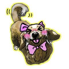 Dachshund AMEKO Part8.