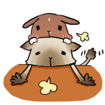 Potter Rabbit 2 sticker #8101080