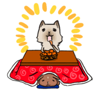 Potter Rabbit 2 sticker #8101112