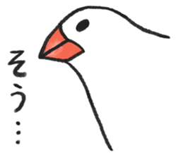 Carefree Buncho sticker #8101525