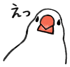 Carefree Buncho sticker #8101538