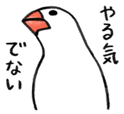 Carefree Buncho sticker #8101541