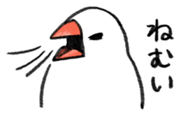 Carefree Buncho sticker #8101552