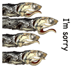 Dried sardine English version sticker #8103654