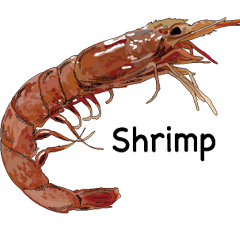 Креветка по английски. Креветка по английскому. Креветка стикер. Merciless Shrimp логотип. Как записать креветка по английскому.