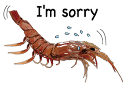 Shrimp English version sticker #8104719