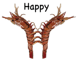 Shrimp English version sticker #8104720