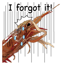 Shrimp English version sticker #8104722