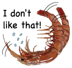 Shrimp English version sticker #8104726