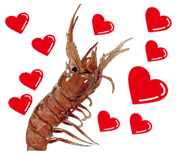 Shrimp English version sticker #8104732