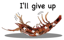 Shrimp English version sticker #8104737
