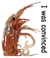 Shrimp English version sticker #8104741