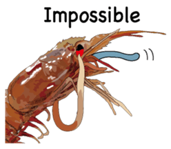 Shrimp English version sticker #8104746