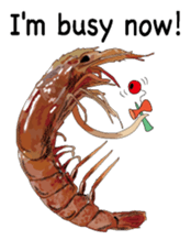 Shrimp English version sticker #8104747