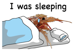 Shrimp English version sticker #8104749