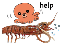 Shrimp English version sticker #8104750