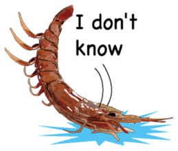 Shrimp English version sticker #8104751