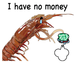 Shrimp English version sticker #8104752