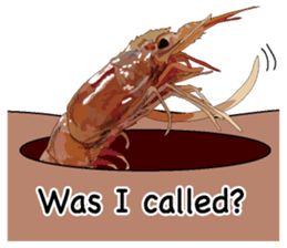 Shrimp English version sticker #8104755