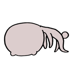 Limply Bear sticker #8106395