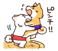 Sumo dogs sticker #8106808