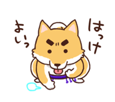Sumo dogs sticker #8106835