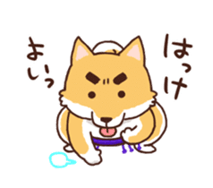 Sumo dogs sticker #8106835