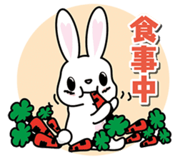 1 day of rabbit sticker #8108738