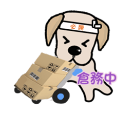 Labrador Bi III sticker #8108812