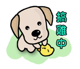 Labrador Bi III sticker #8108813