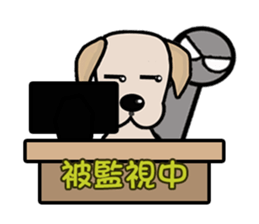 Labrador Bi III sticker #8108820