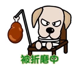 Labrador Bi III sticker #8108824